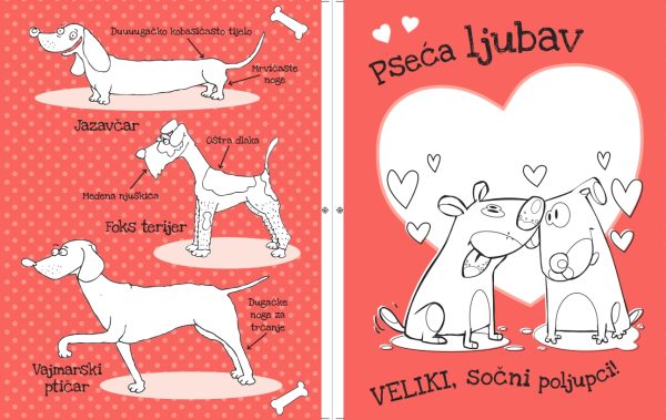 PRESLATKA BOJANKA - Slika 5